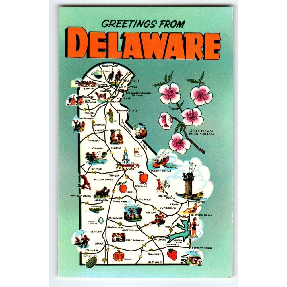 Greetings From Delaware Map Postcard State Flower Peach Blossom Postcard Chrome